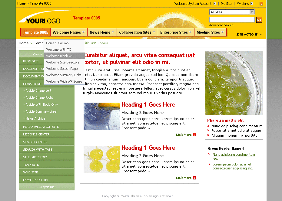 SharePoint Theme - SharepointPackages.Com