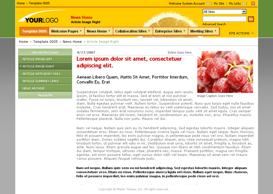 SharePoint Theme - SharepointPackages.Com